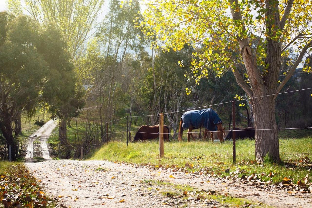 Colby Cottages, Wooragee Near Beechworth Kültér fotó